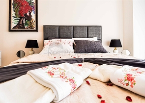 شقة فاخرة - 2 غرفة وصالة مع الاثاث - ضمن مجمع ممتاز - في اوبا / الانيا 