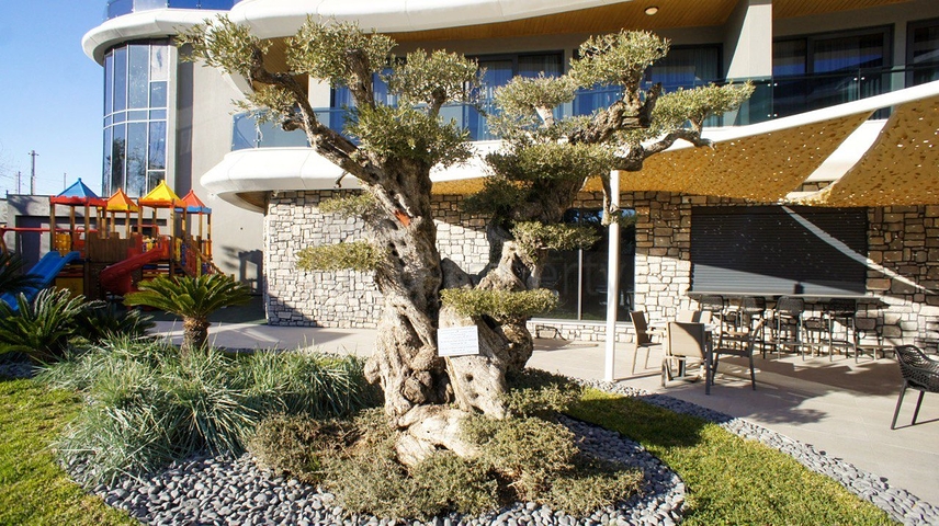 على البحر مباشرة - نظام فندقي - شقة 1+1 - في كارجي جاك / الانيا 