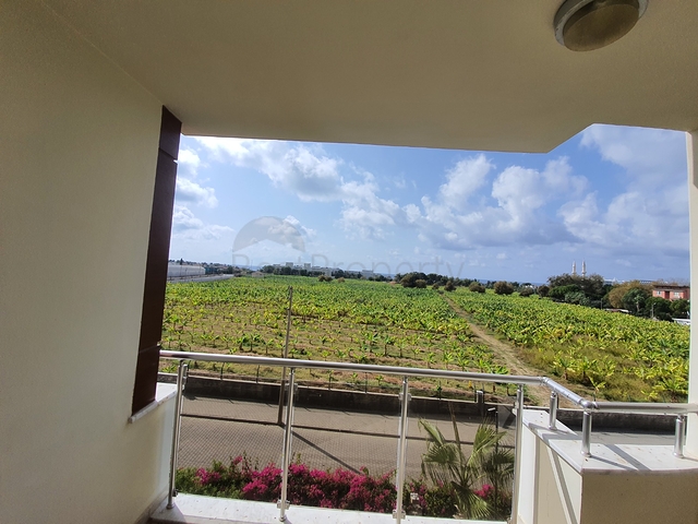 ضمن مجمع يضم كافة الخدمات - شقة 1+1 - في افسلار / الانيا 