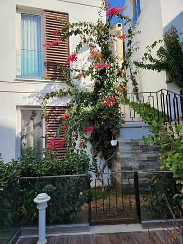 اطلالة بحرية -شقق ودوبلكس ضمن مجمع حديث - في بودروم 