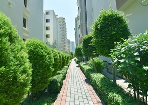 سعر مناسب - قريب من البحر والاسواق -شقة غرفة وصالة مفروشة - في مهموتلار / الانيا 