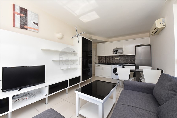 ضمن منطقة اوبا المركزية -شقة غرفة وصالة -مفروشة -في الانيا 