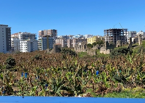 شقة 1+1 غرفة وصالة - في مهموتلار / الانيا 