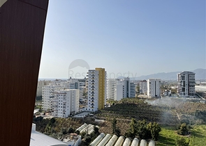 شقة بسعر اقتصادي - غرفة وصالة -في الانيا 