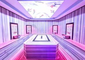 شقة 2 غرفة وصالة -مفروشة -ضمن مجمع يضم خدمات -في افسلار / الانيا