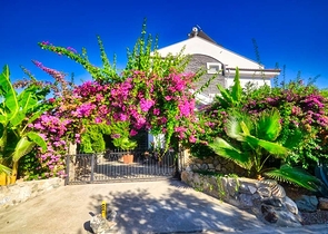 فيلا 4 + 1 مع مسبح خاص في كاليس فتحية