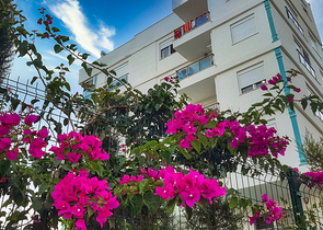 شقة 2 + 1 في مجمع في هورما كونيالتي