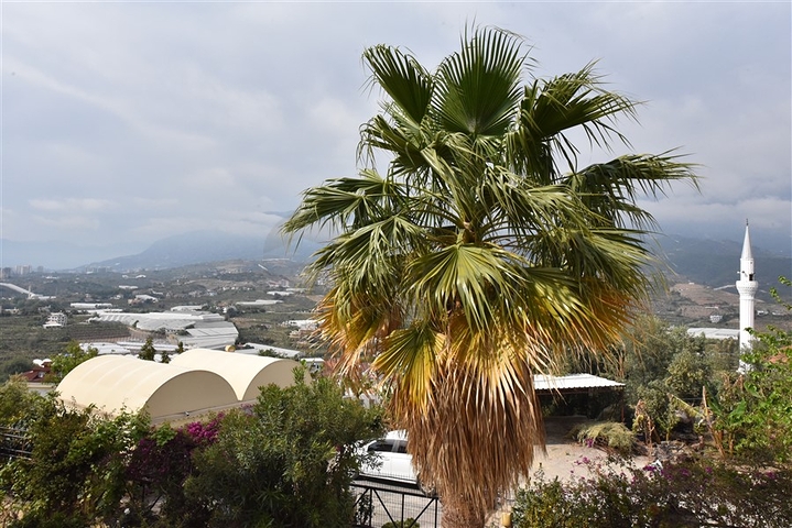 فيلا مستقلة مع مسبح خاص - تصميم 2+3 - في كارجي جاك / الانيا 