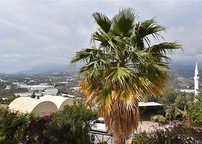 فيلا مستقلة مع مسبح خاص - تصميم 2+3 - في كارجي جاك / الانيا 