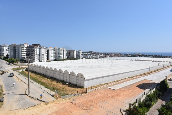 شقة غرفة وصالة للبيع -في منطقة افسلار / الانيا 