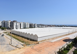 شقة غرفة وصالة للبيع -في منطقة افسلار / الانيا 