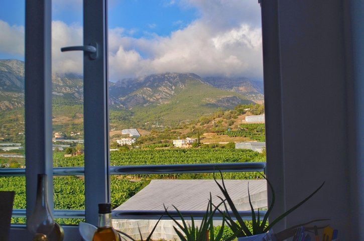 مجمع جديد - شقة 1+1 - مفروشة -في مهموتلار / الانيا 