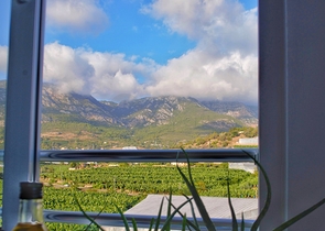 مجمع جديد - شقة 1+1 - مفروشة -في مهموتلار / الانيا 