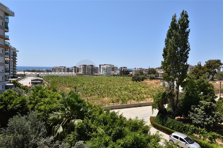 مجمع بخدمات 5 نجوم - شقة غرفة وصالة -اطلالة مفتوحة -سعر مميز -في افسلار / الانيا 