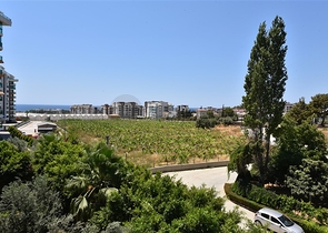 مجمع بخدمات 5 نجوم - شقة غرفة وصالة -اطلالة مفتوحة -سعر مميز -في افسلار / الانيا 