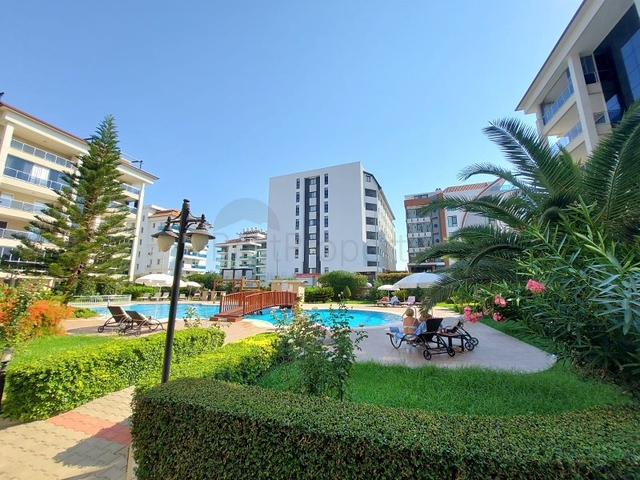 مجمع فاخر -قريب من البحر - شقة غرفة وصالة -في كاستل / الانيا 