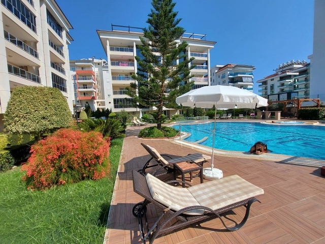 مجمع فاخر -قريب من البحر - شقة غرفة وصالة -في كاستل / الانيا 