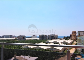 مجمع انيق - يضم كافة الخدمات -شقة 1+1- مفروشة -في مهموتلار / الانيا 