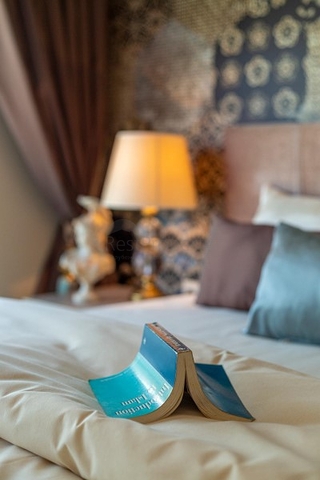 مجمع فاخر -شقة غرفة وصالة -مفروشة -في كاستل / الانيا 