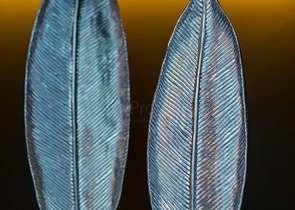 مجمع فاخر -شقة غرفة وصالة -مفروشة -في كاستل / الانيا 