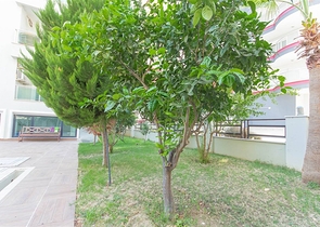 شقق للبيع الانيا - تصميم غرفة وصالة -قريبة من البحر -في محمودلار / الانيا 