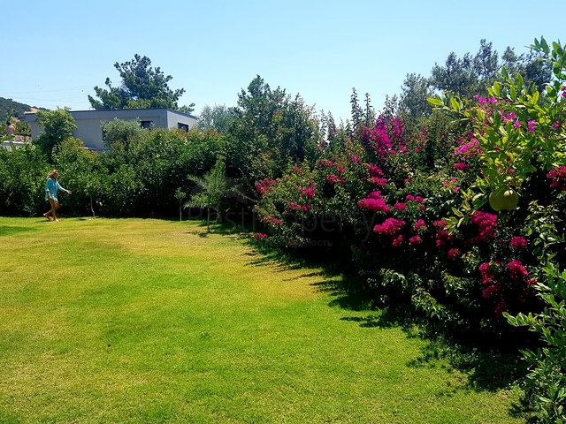 عقارات في بودروم -فلل فاخرة للبيع -بودروم