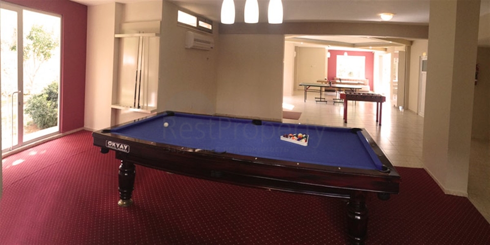 شقق للبيع في الانيا - نصميم 2 غرفة وصالة -مفروشة -توسمور / الانيا 