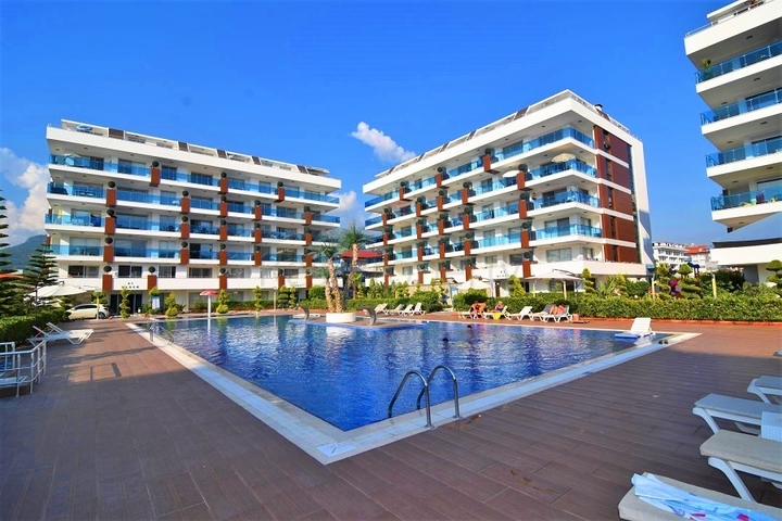 شقة مطبخ منفصل في الانيا - غرفتين وصالة -ضمن مجمع فاخر -كاستل / الانيا 