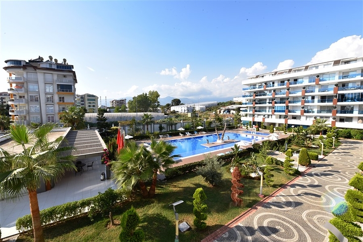 شقة مطبخ منفصل في الانيا - غرفتين وصالة -ضمن مجمع فاخر -كاستل / الانيا 