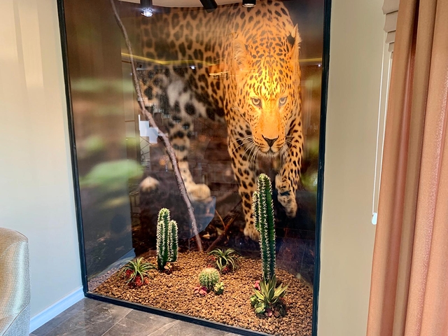 فيلا اطلالة بحر في الانيا -4 غرف وصالة - مسبح خاص -في كارجيجاك / الانيا