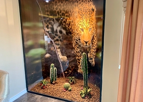 فيلا اطلالة بحر في الانيا -4 غرف وصالة - مسبح خاص -في كارجيجاك / الانيا