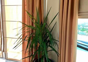 فيلا اطلالة بحر في الانيا -4 غرف وصالة - مسبح خاص -في كارجيجاك / الانيا