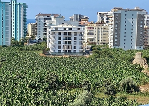 شقق للبيع في محمودلار - غرفة وصالة -مفروشة بأناقة -ضمن مجمع جديد -في محمودلار / الانيا 