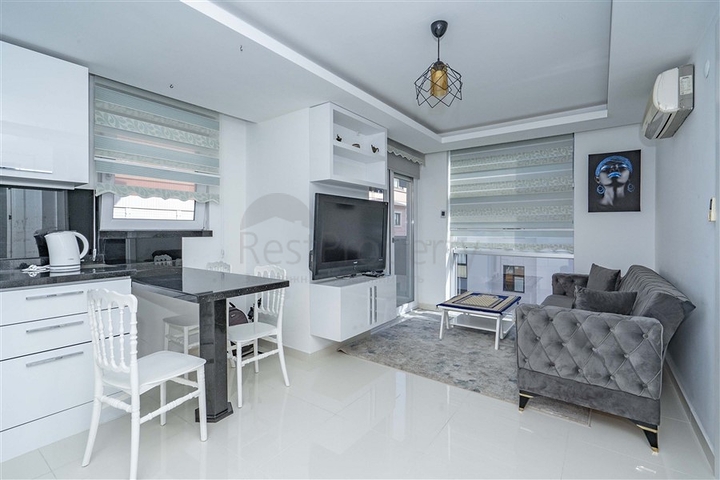 شقق في مركز الانيا - تصميم غرفة وصالة -مؤثثة - قريبة من البحر -في الانيا 