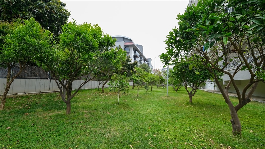 شقق للبيع في اوبا - تصميم غرفتين وصالة -قريبة من البحر -اوبا / الانيا 