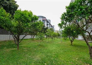 شقق للبيع في اوبا - تصميم غرفتين وصالة -قريبة من البحر -اوبا / الانيا 