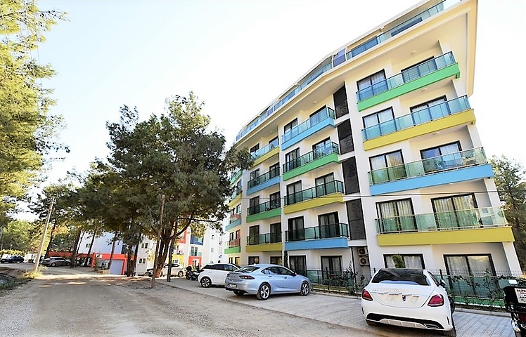 اطلالة على الفابة -شقة غرفة وصالة مفروشة -ضمن مجمع حديث في افسلار / الانيا 