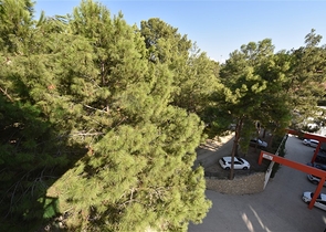 اطلالة على الفابة -شقة غرفة وصالة مفروشة -ضمن مجمع حديث في افسلار / الانيا 