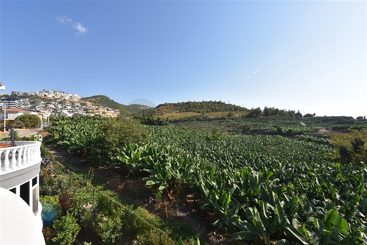 فيلا 3+1 محاطة بالجبال الخضراء في كارجيجاك