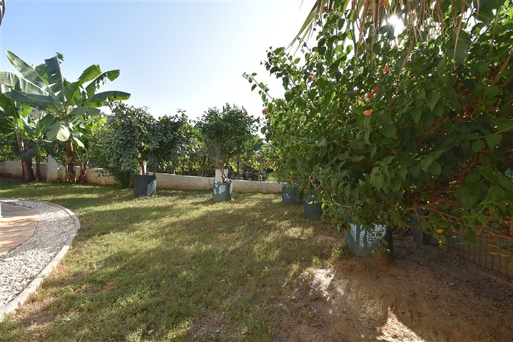 فيلا 3+1 محاطة بالجبال الخضراء في كارجيجاك