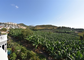 فيلا 3+1 محاطة بالجبال الخضراء في كارجيجاك