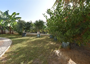 فيلا 3+1 محاطة بالجبال الخضراء في كارجيجاك