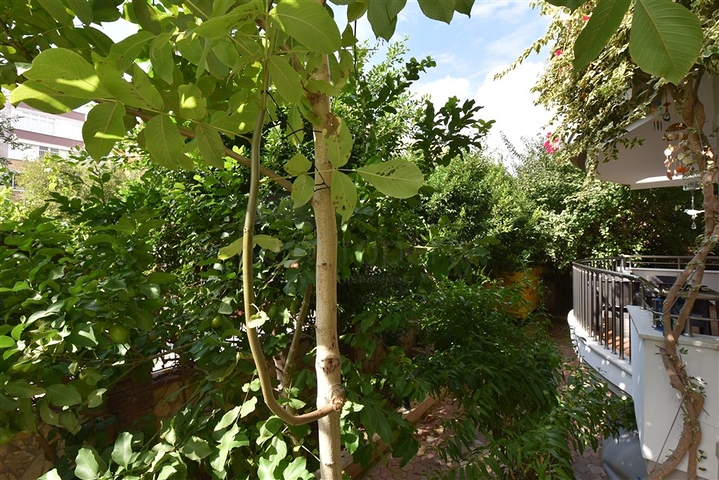 شقة 3+1 مع مطبخ منفصل في وسط ألانيا