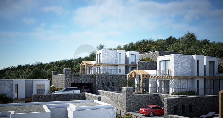 فيلات منفصلة ذات هندسة معمارية فريدة في منطقة غيوميوشليوك