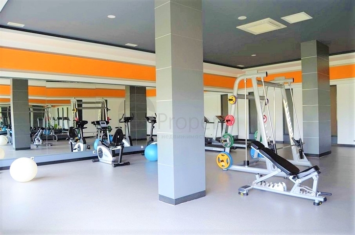 شقة بغرفة نوم واحدة في حي أفسالار