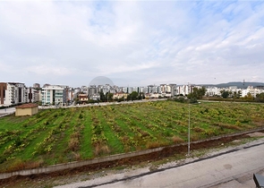 شقة بغرفة نوم واحدة في حي أفسالار