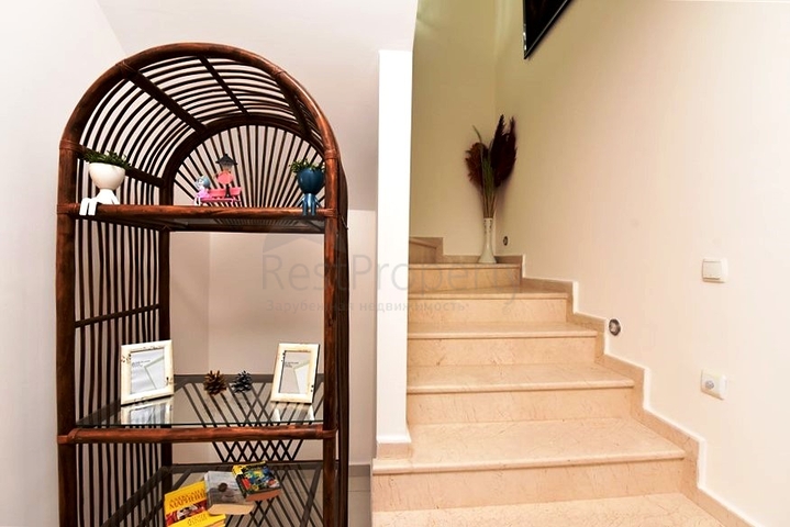 2 + 1 بنتهاوس على كليوباترا