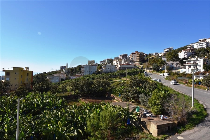 2 + 1 بنتهاوس على كليوباترا