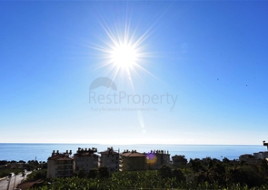 2 + 1 بنتهاوس على كليوباترا