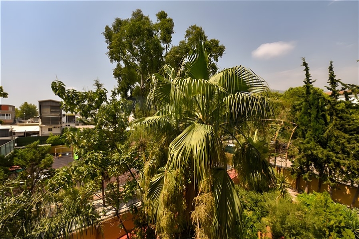 شقة مفروشة 2 + 1 في مجمع على الساحل الأول في وسط ألانيا شقة مفروشة 2 + 1 في مجمع على الساحل الأول في وسط ألانيا